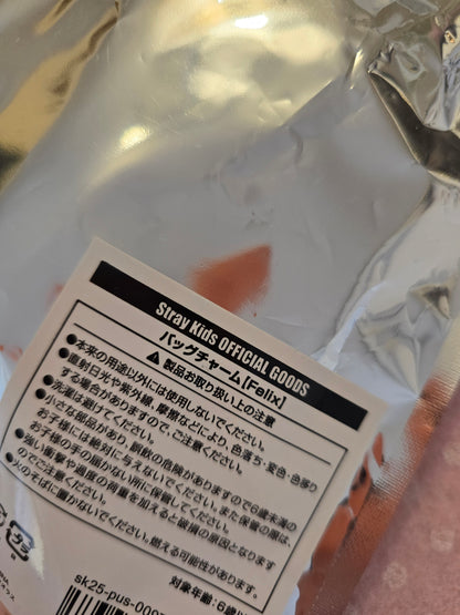 Skz Sauna bundle Felix: peluche +pc + charm