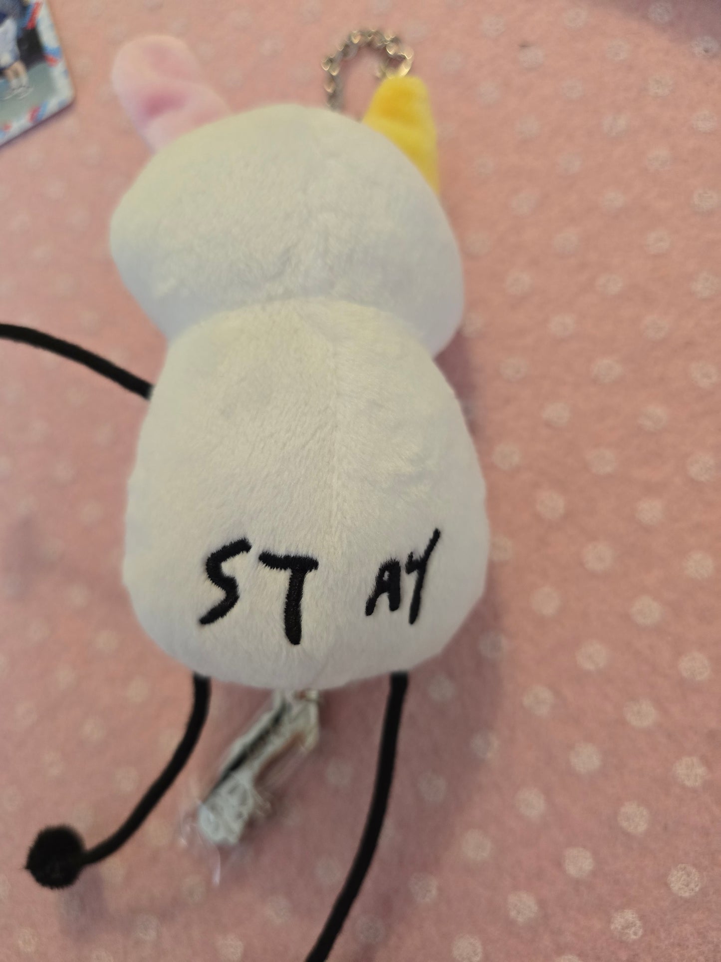 Skz Sauna bundle Lee Know: peluche +pc + charm